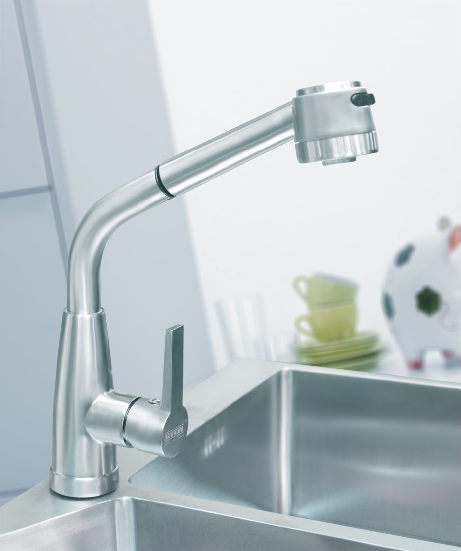 Vòi rửa chén Giovani GF-101DS